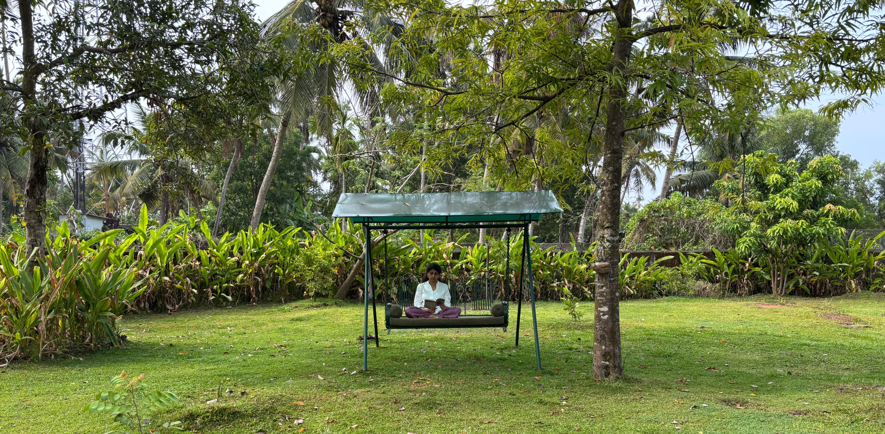 Ayurvedic reset stay at Ashwattha