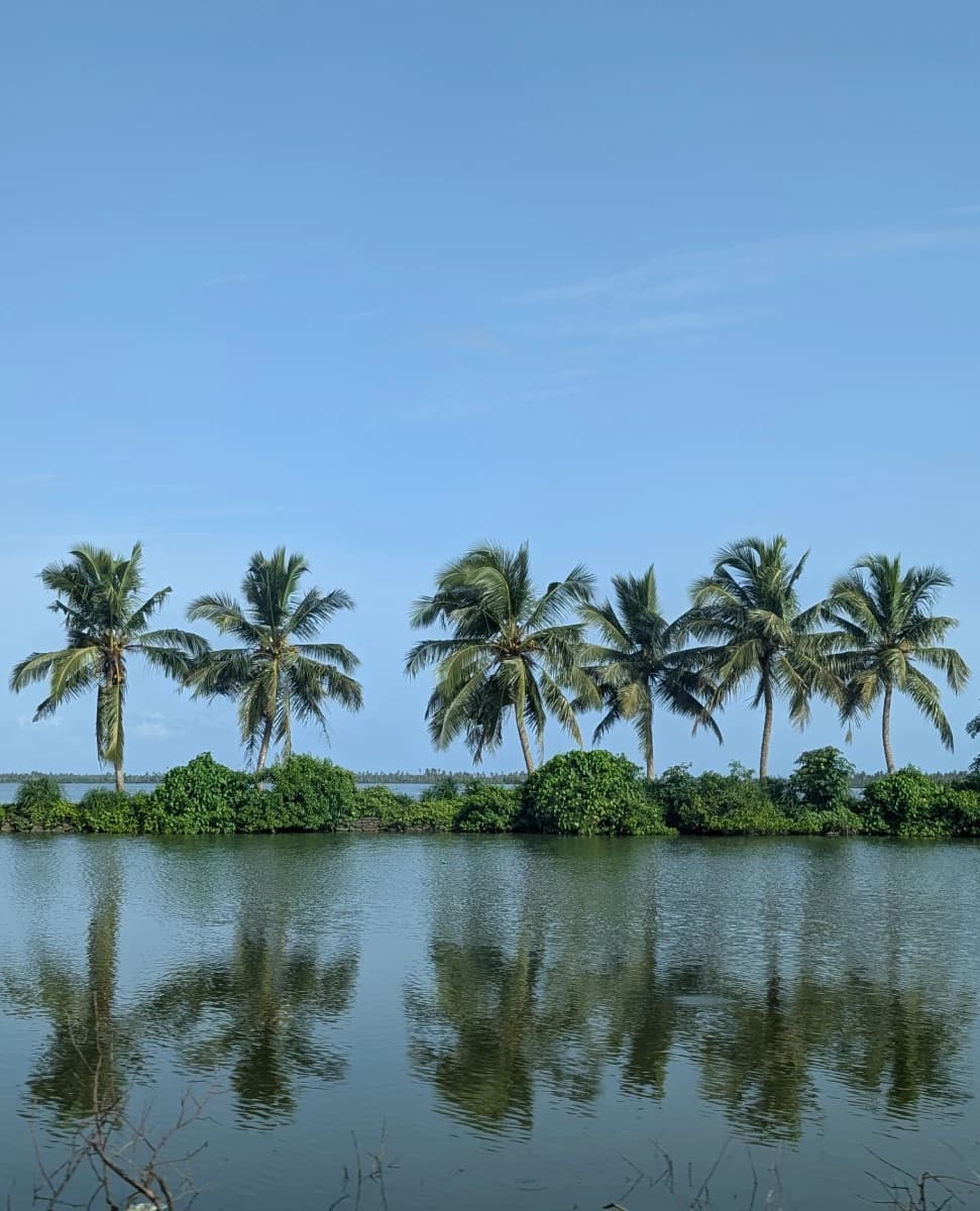 Property near the backwaters and open sky