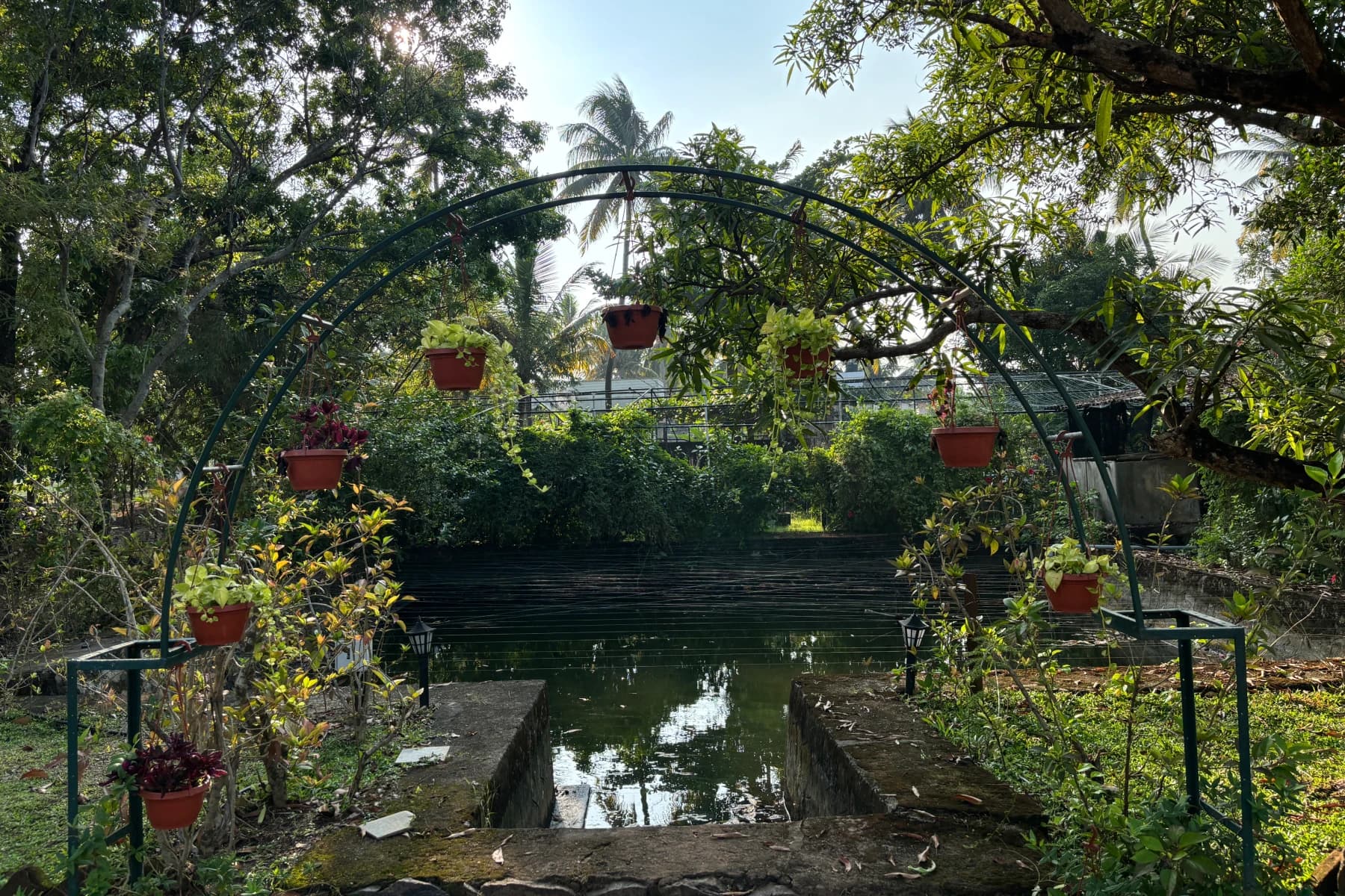 A quiet corner of the Ashwattha property