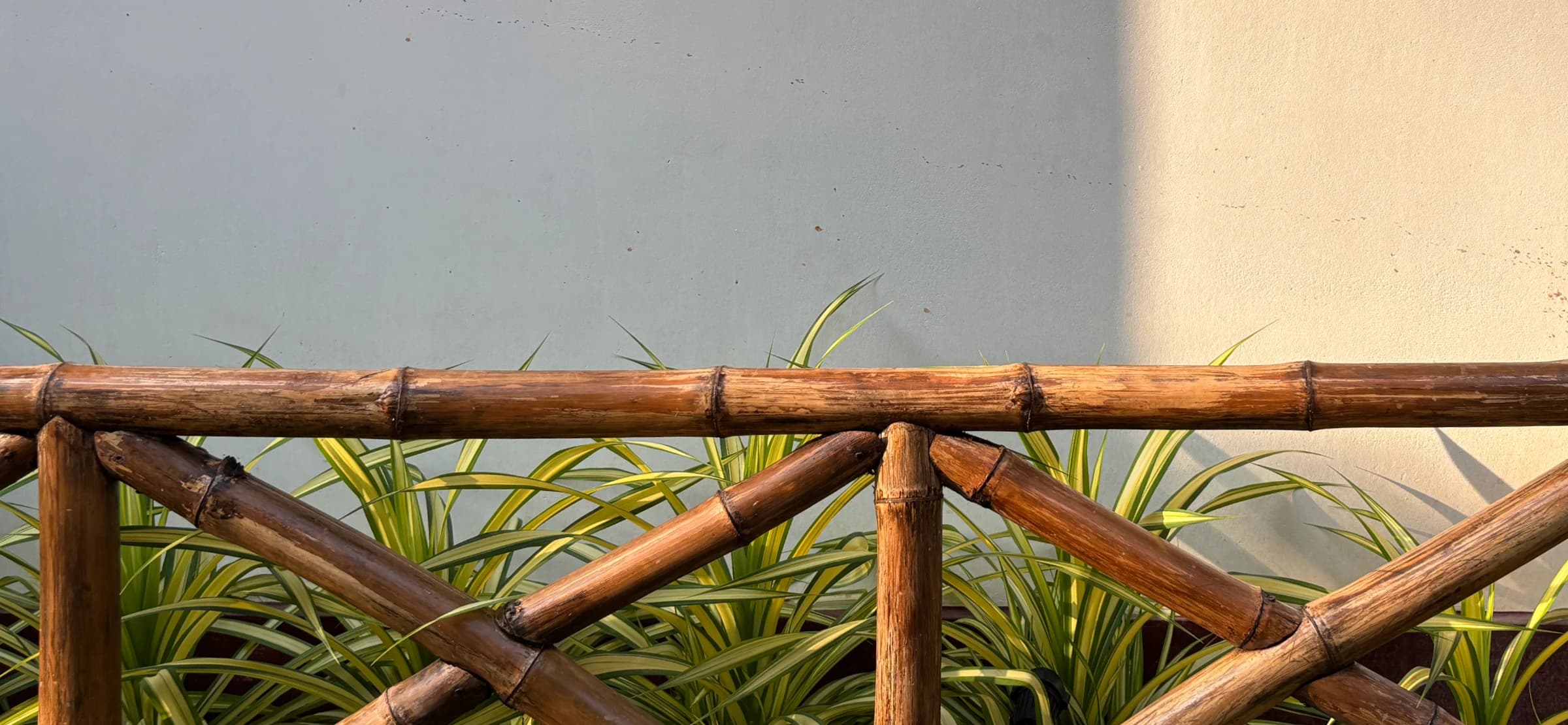 The Ashwattha property — gardens and quiet outdoor spaces in Kochi